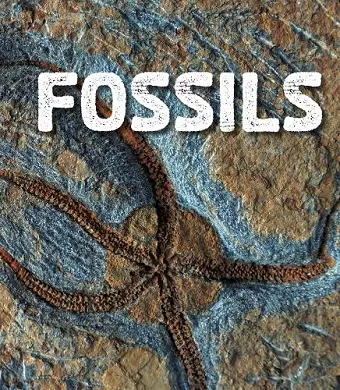 Fossils cover