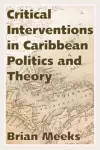 Critical Interventions in Caribbean Politics and Theory cover