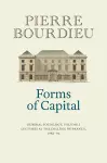 Forms of Capital: General Sociology, Volume 3 cover