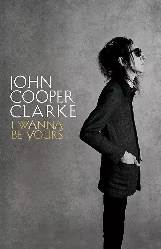 I Wanna Be Yours cover