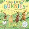 Hop Little Bunnies cover