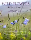 Sarah Raven's Wild Flowers cover