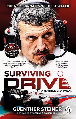 Surviving to Drive cover