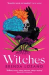 Witches cover