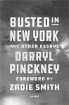 Busted in New York & Other Essays cover