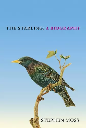 The Starling cover