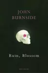 Ruin, Blossom cover