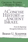 A Concise History of Ancient Israel cover