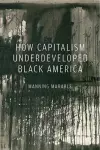 How Capitalism Underdeveloped Black America cover