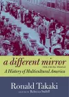 A Different Mirror for Young People cover