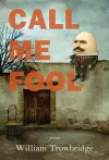 Call Me Fool cover