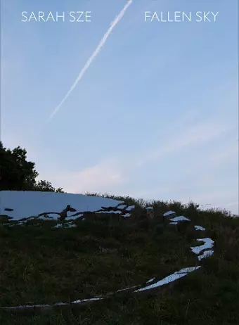 Sarah Sze: Fallen Sky cover