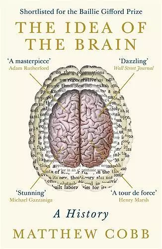 The Idea of the Brain cover