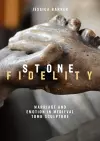 Stone Fidelity cover