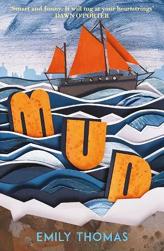 Mud cover