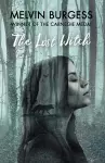 The Lost Witch cover