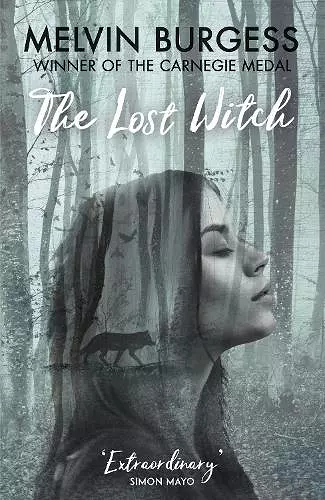 The Lost Witch cover