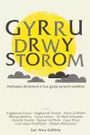 Gyrru drwy Storom cover