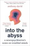 Into the Abyss cover