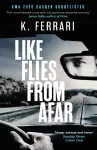 Like Flies from Afar cover