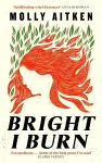 Bright I Burn cover