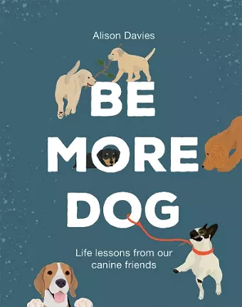 Be More Dog cover