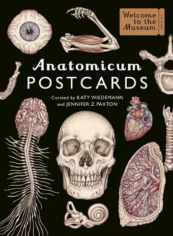 Anatomicum Postcard Box cover