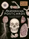 Anatomicum Postcard Box cover