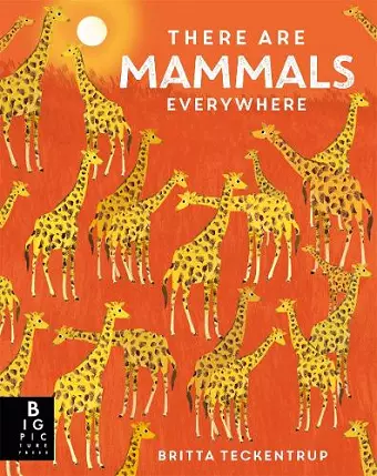 There are Mammals Everywhere cover