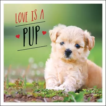 Love is a Pup cover