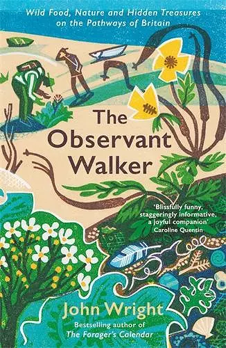 The Observant Walker cover