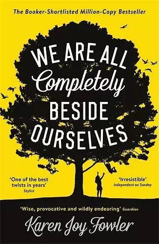 We Are All Completely Beside Ourselves cover