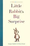 Little Rabbit's Big Surprise cover