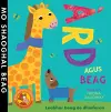 Àrd agus Beag cover