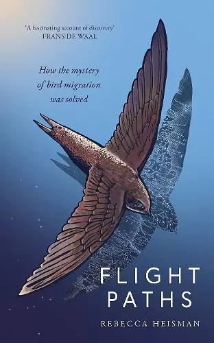 Flight Paths cover