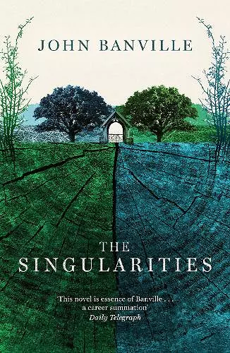 The Singularities cover