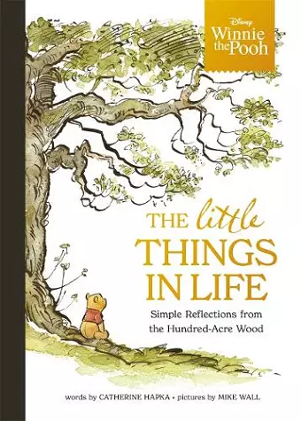 Winnie the Pooh - The Little Things in Life cover