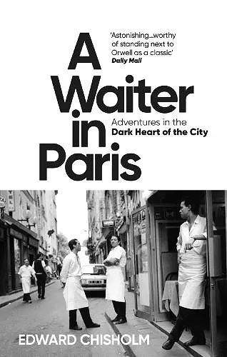 A Waiter in Paris cover