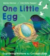 One Little Egg cover