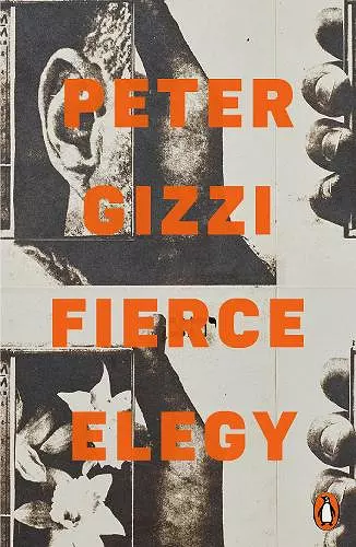 Fierce Elegy cover