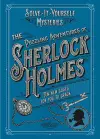 The Puzzling Adventures of Sherlock Holmes cover