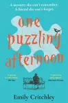 One Puzzling Afternoon cover