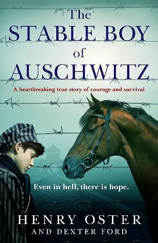 The Stable Boy of Auschwitz cover