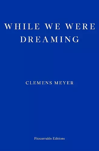 While We Were Dreaming cover