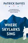 Where Skylarks Sing cover