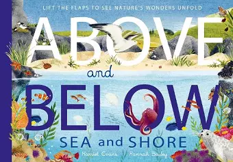 Above and Below: Sea and Shore cover