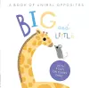 Big and Little cover