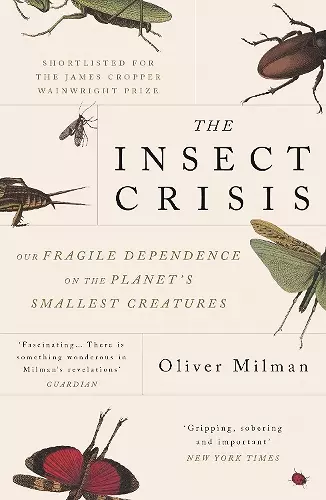 The Insect Crisis cover