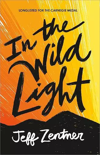 In the Wild Light cover