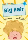 Big Hair cover